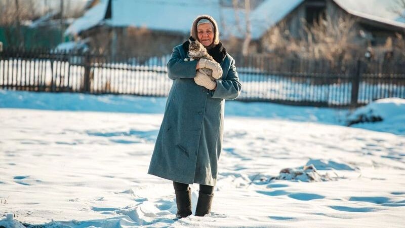    Фото: Ivan Babydov/Shutterstock/Fotodom