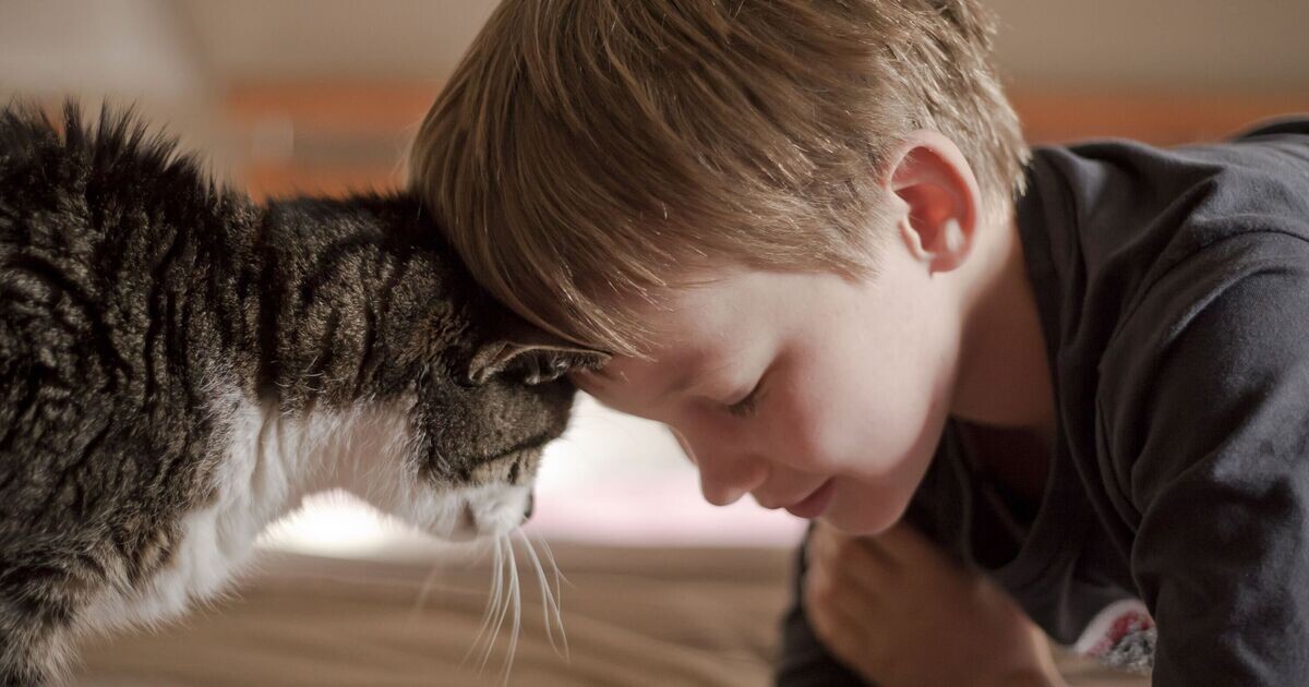 Фото Яндекс Картинки