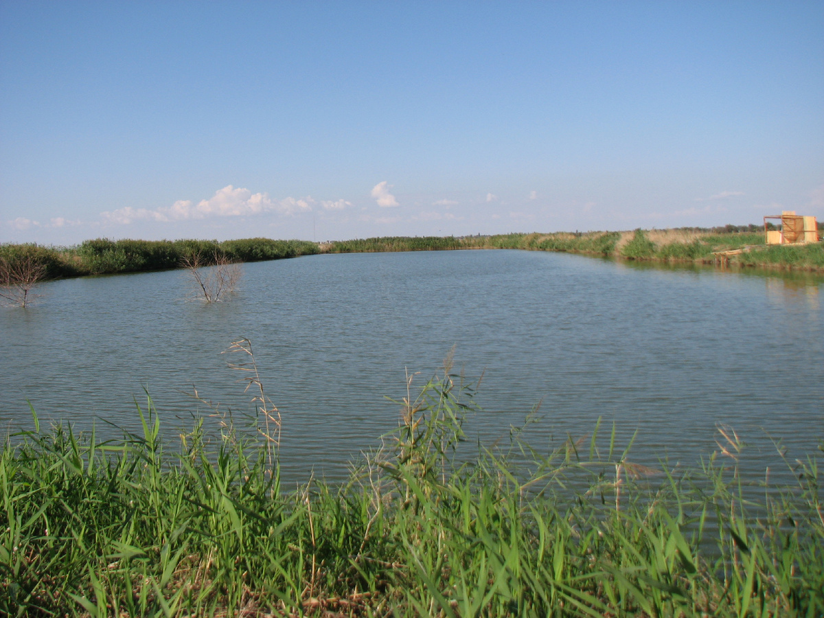Водоем близ села Некрасовка Советского района Крыма