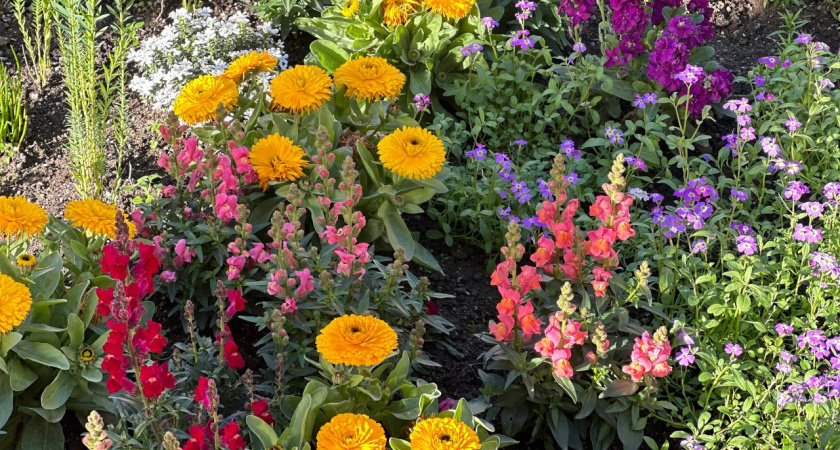    Первый городской канал Калининград