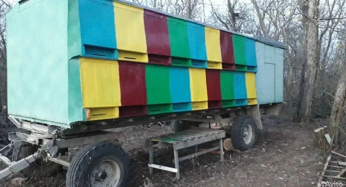    Собственники из Ростовской области массово выставили на продажу пчелопавильоны   «Авито»