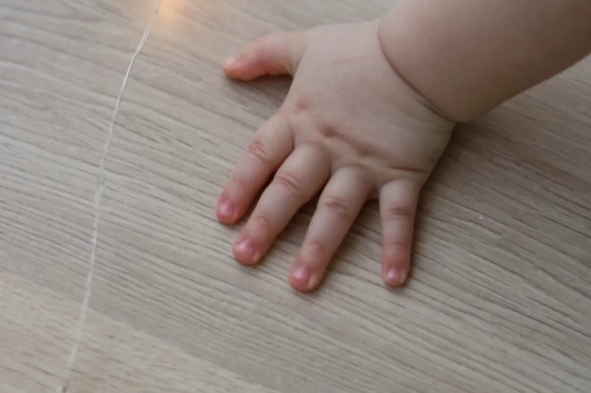    Тульским многодетным семьям представили новые условия получения пособий