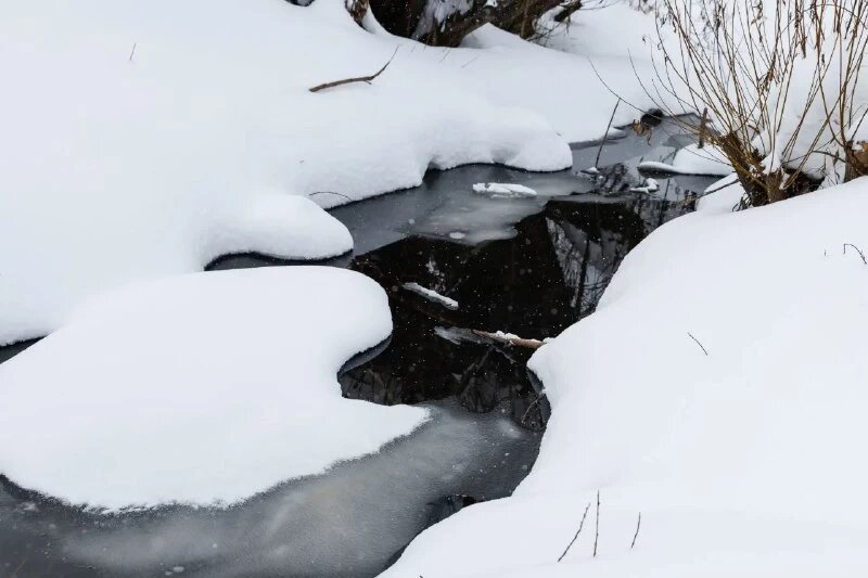 Фото: Телеграм-канал Алексея Лошкина