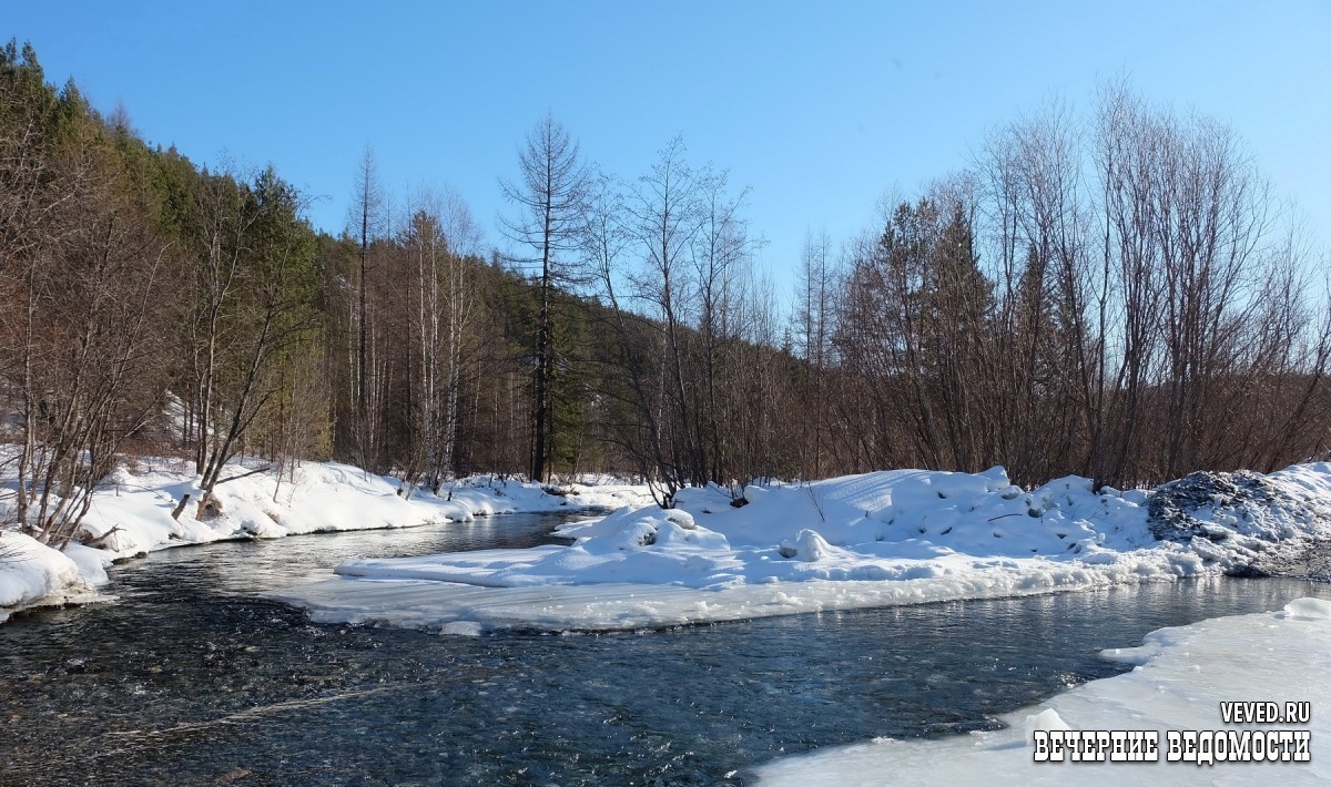     Фото: Владислав Постников / Вечерние ведомости