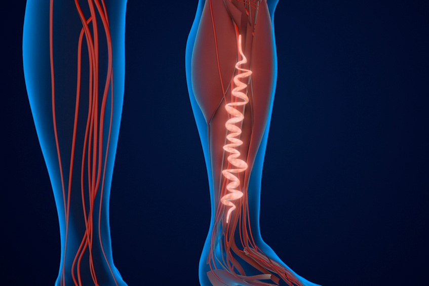 Фото: Silver Place/FOTODOM/Shutterstoсk