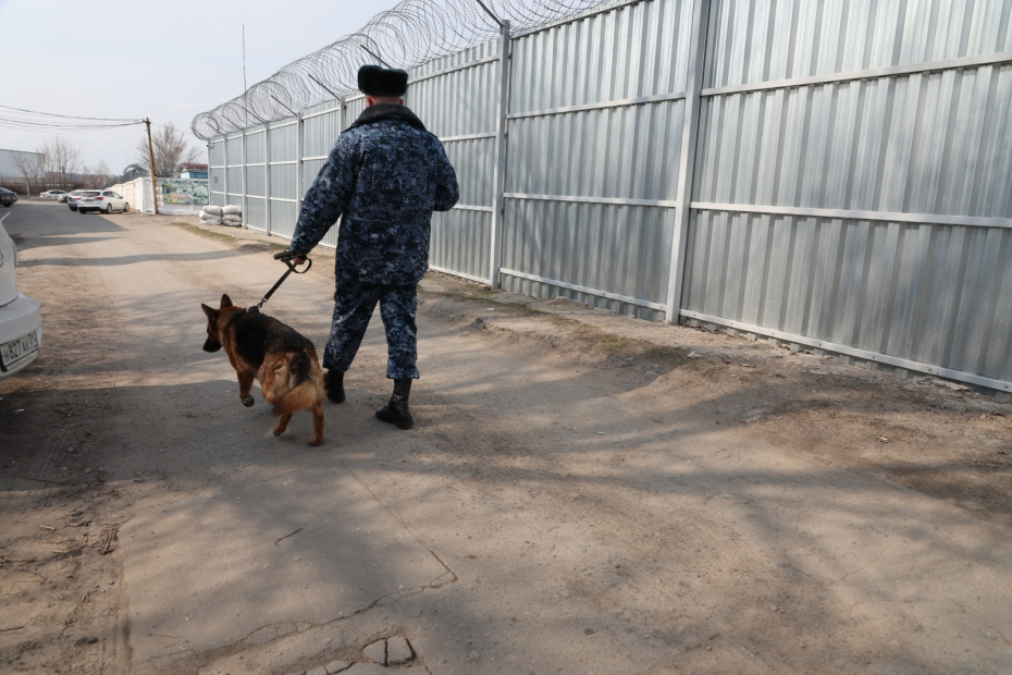    Алексей Белкин/NEWS.ru