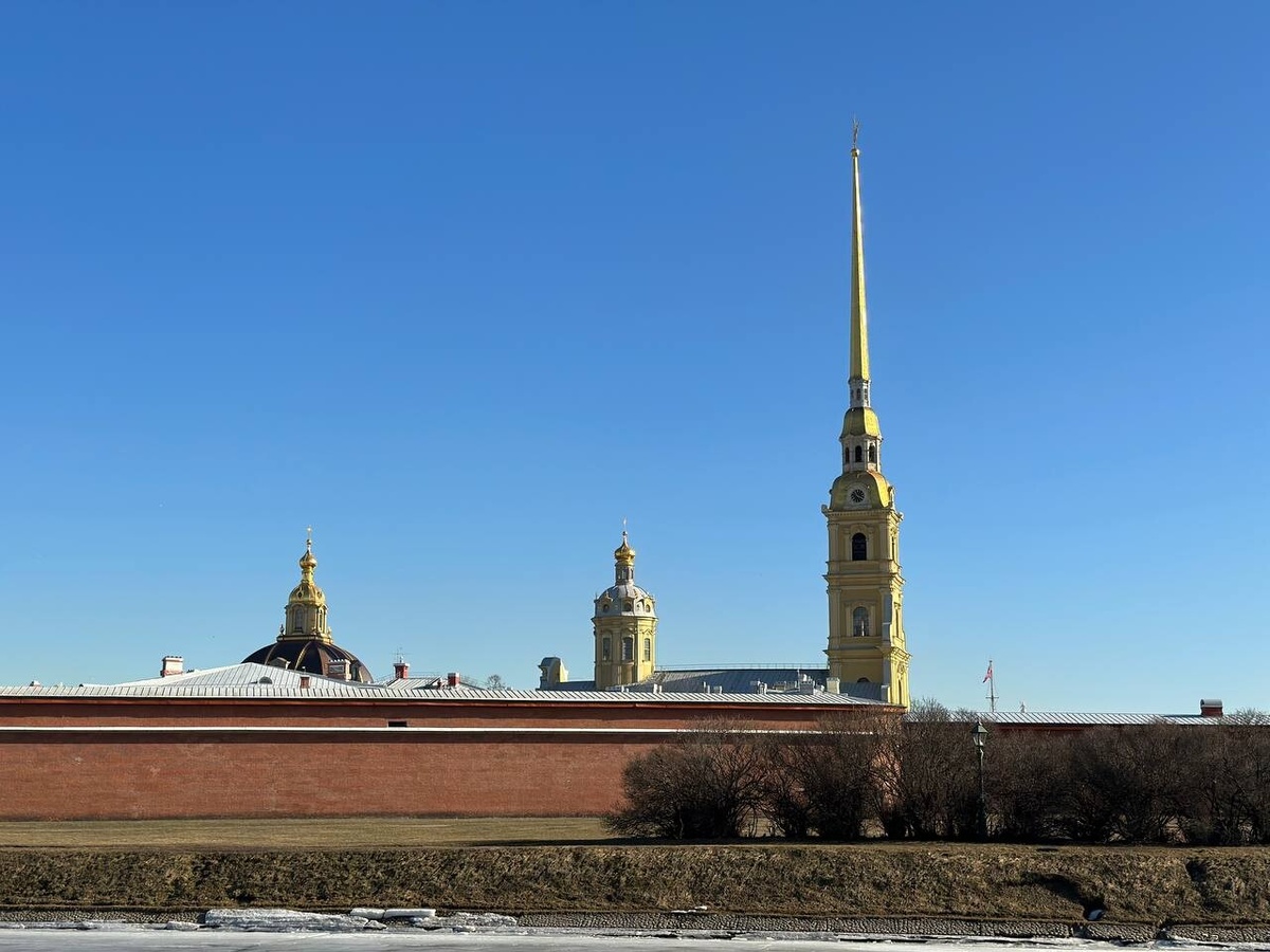     Фото: "Бриф24"