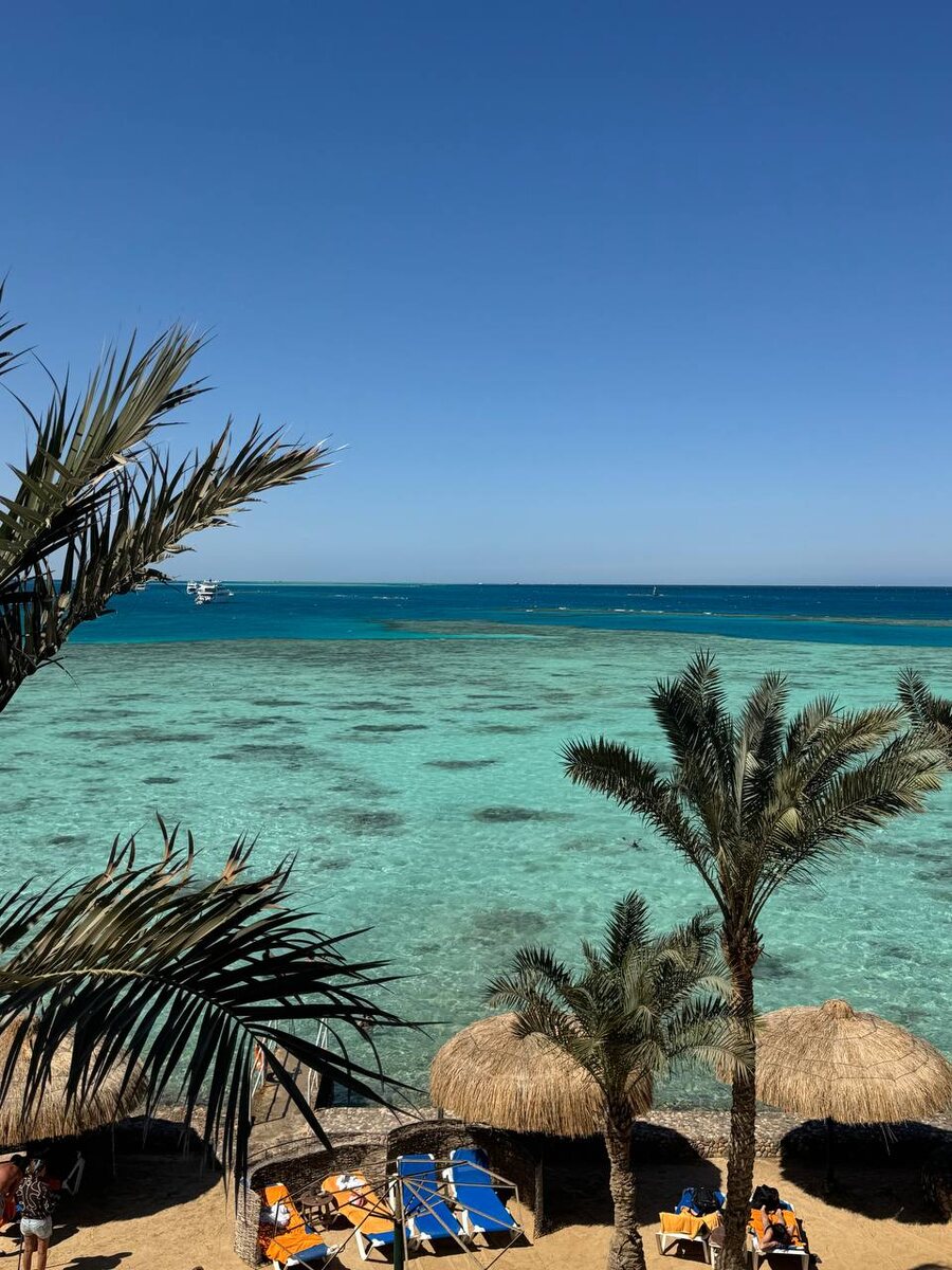 Фото из свободного источника интернет 