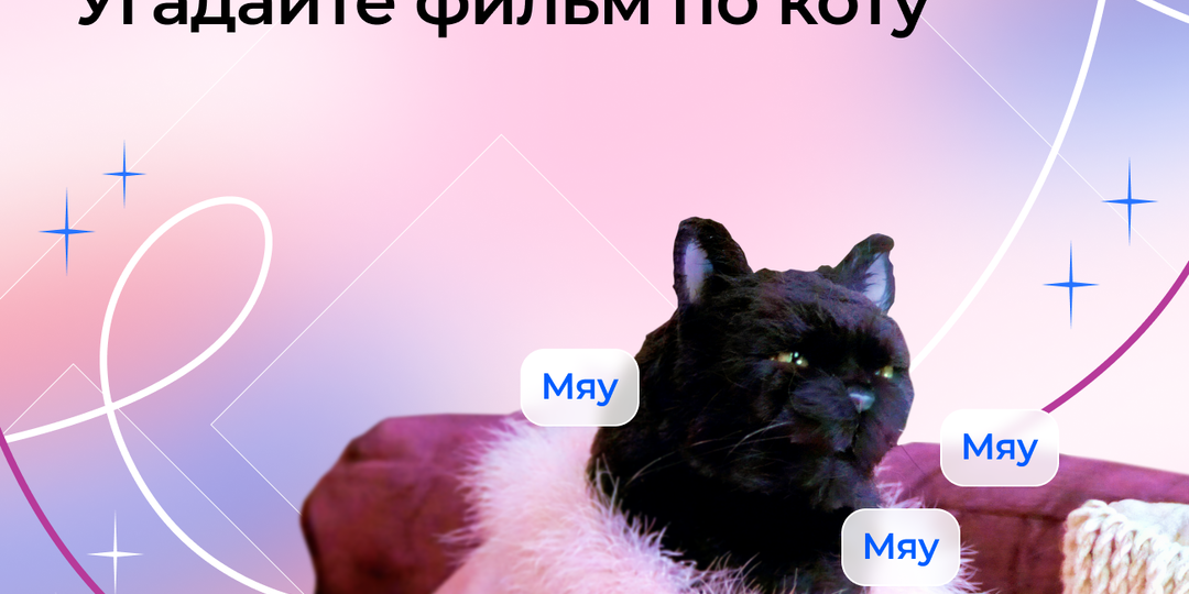 🐾 Тест: угадайте фильм по коту