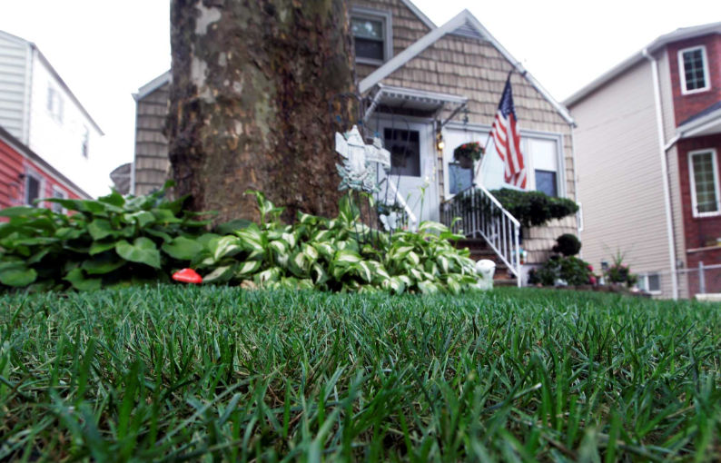 Источник: alamy.com