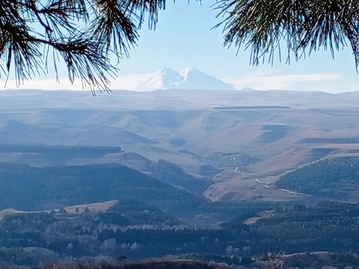 Фото автора.