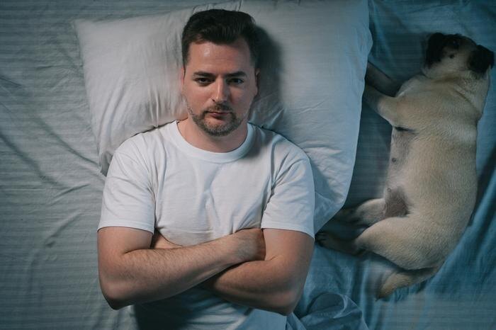 Обложка © Shutterstock / FOTODOM / ZaitsevMaksym