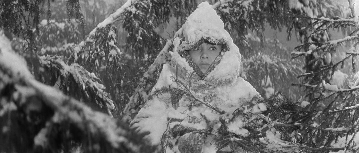 Фото из свободного источника. Так было вчера у нас))