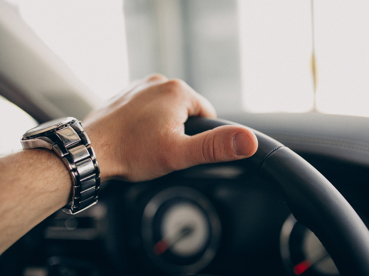     Фото: senivpetro/freepik.com