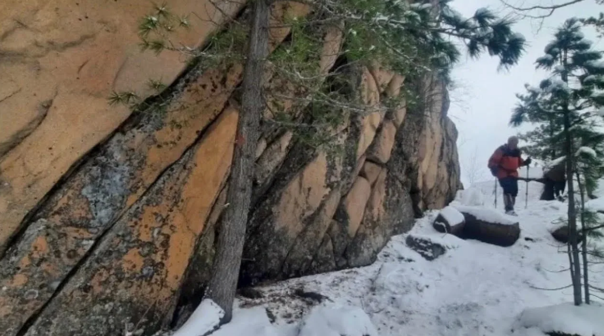 Фото: из открытых источников.