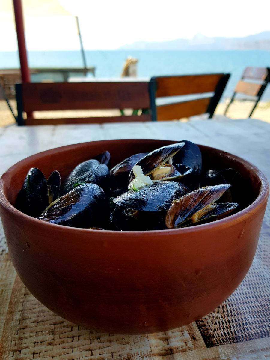 Мидии на Меганоме