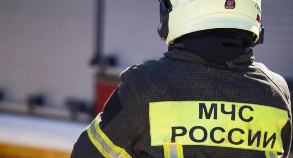    РИА «Новости»