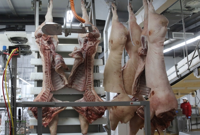 «Талина» планирует увеличить инвестиции