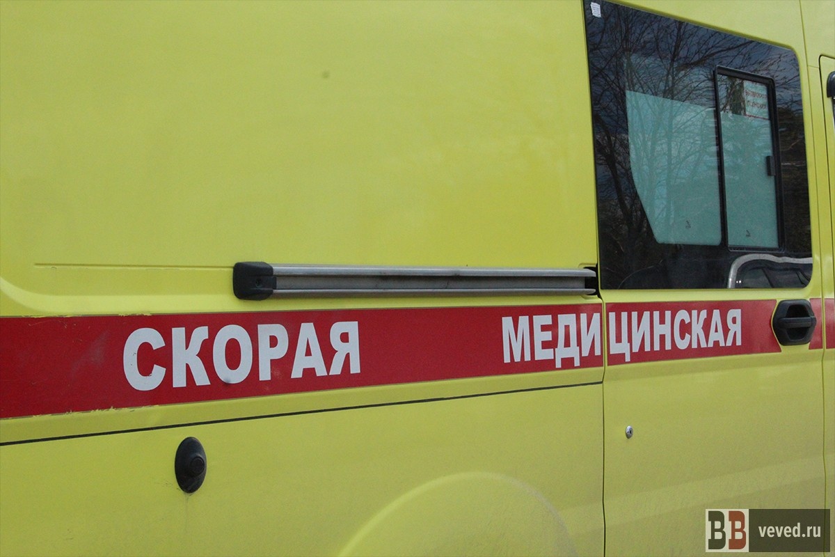     Фото: Юлия Медведева / Вечерние ведомости