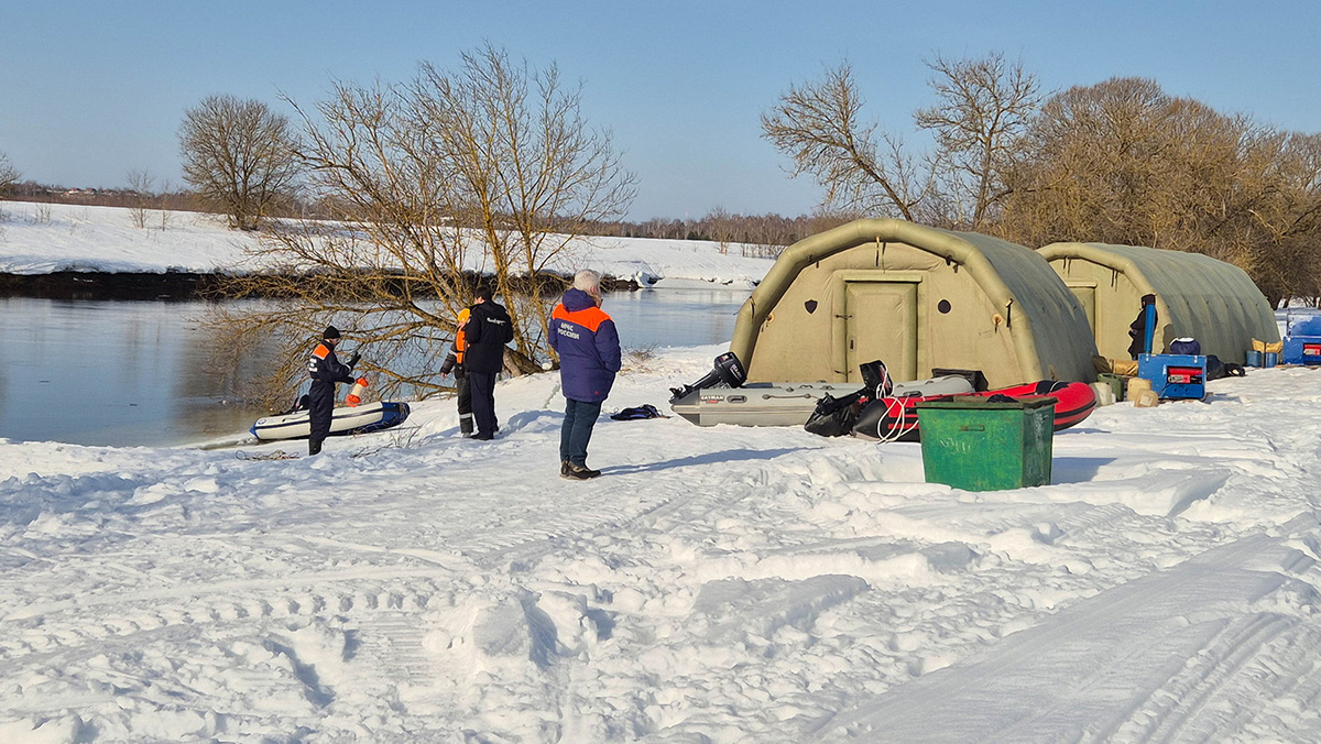   Денис Воронин / Агентство «Москва»
