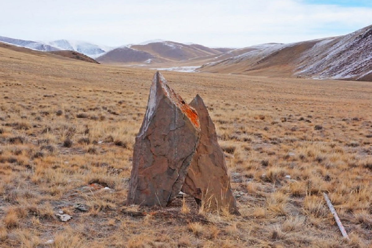    Фото: пресс-служба, источник: НОЦ «Большой Алтай»