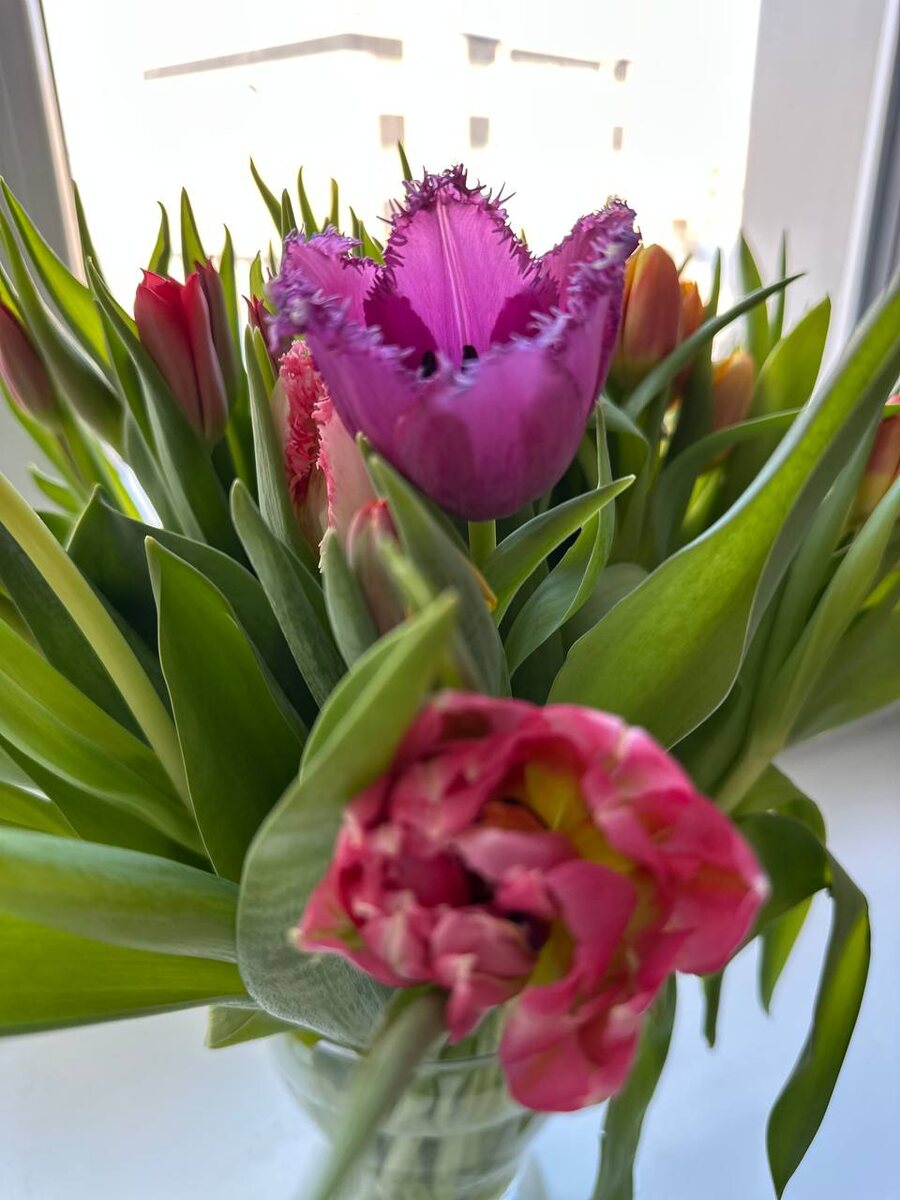 Немного ярких красок в эту статью