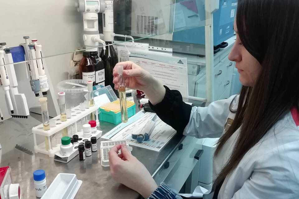    Фото: Волгоградский филиал ФГБУ «ЦОК АПК»