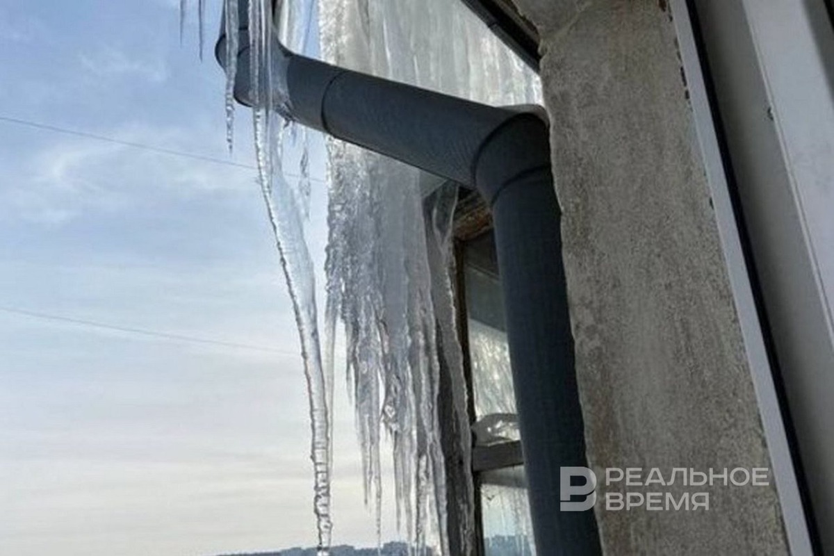   Реальное время / realnoevremya.ru