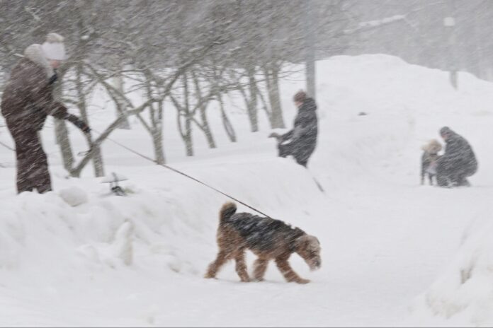    Пермские боевые дроиды на страже чистоты: как инновации меняют сферу ЖКХ и решают проблему зимних завалов.