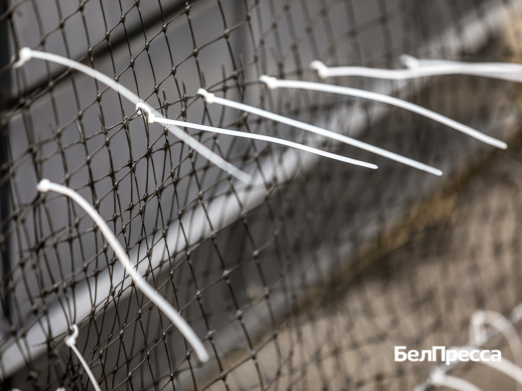     Фото: Павел Колядин (архив)