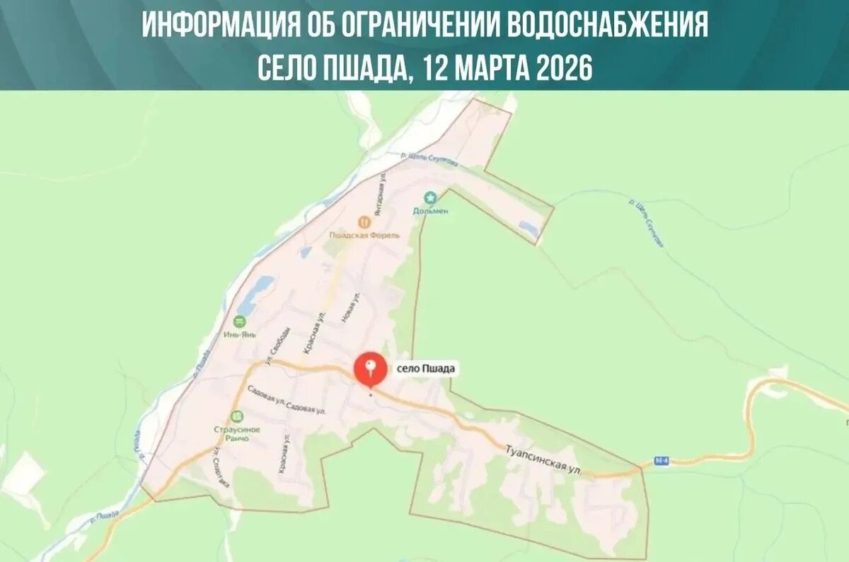    Фото t.me/kvg_gel