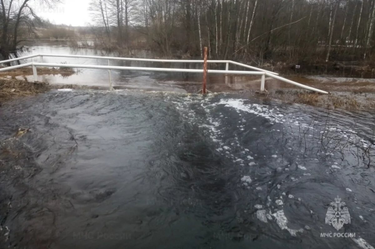    Максимальные уровни половодья ждут на Смоленщине в первой декаде апреля