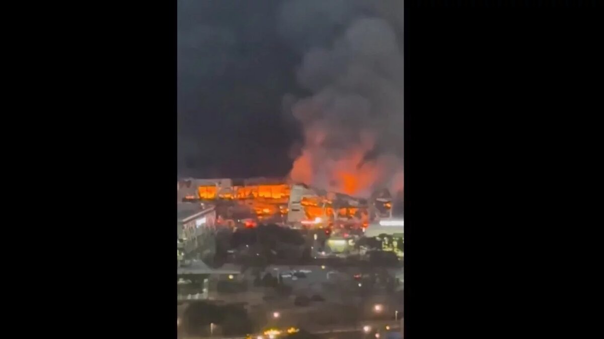 Фото: кадр из видео