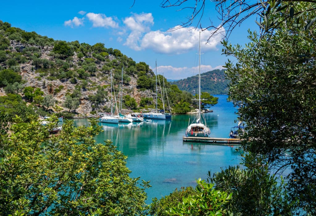 Источник: pipandthecity.com