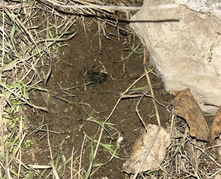    Фото пресс-службы ГУ МВД России по РО Татьяна Пшеничная