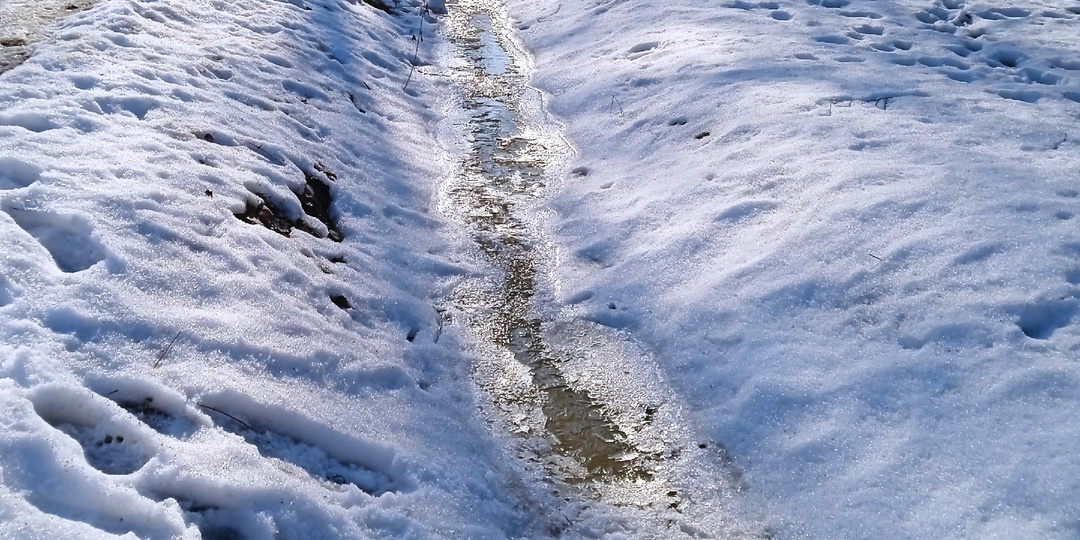 Последняя неделя экономного марафона. Просьба к читателям. Тарелочки.