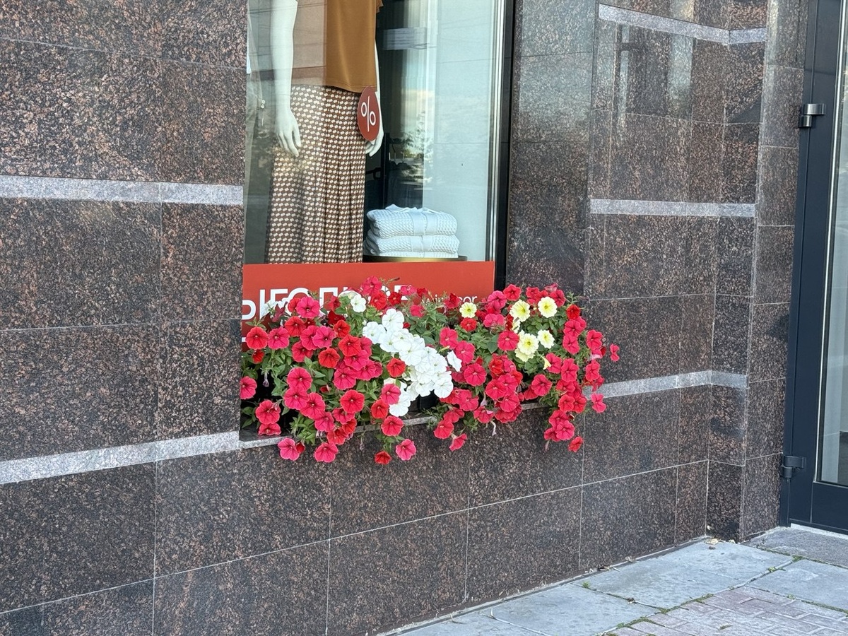 Петуния в кашпо в городском озеленении