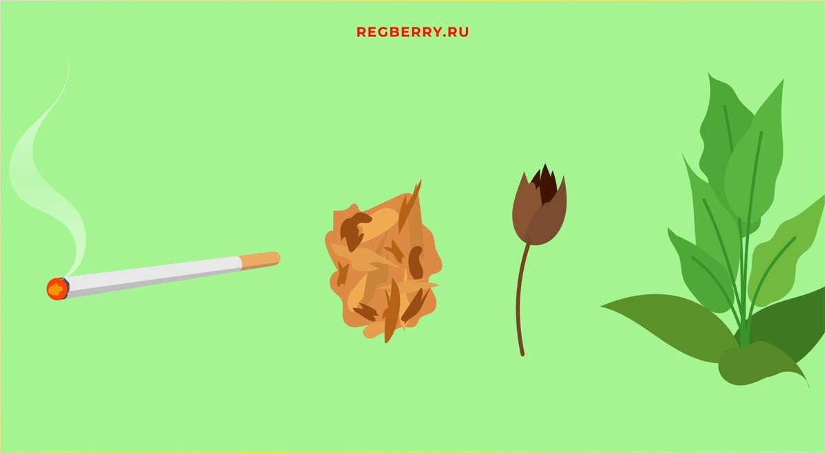 Лицензирование для табачной розницы отложено