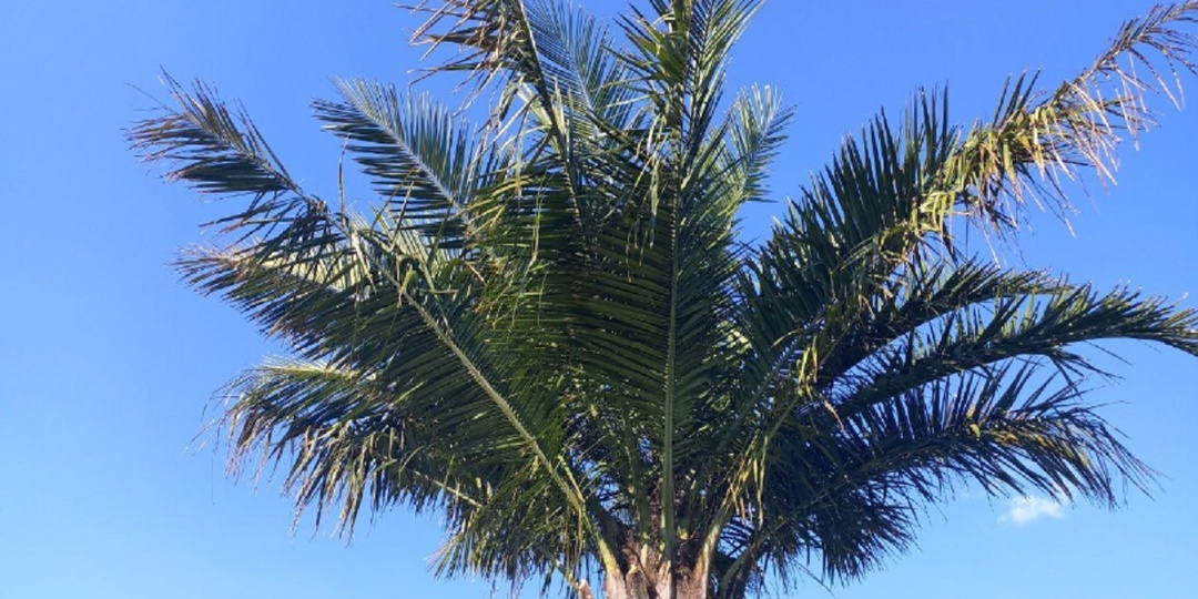 Турэксперты назвали 5 стран, отпуск в которых не ведет к разорению