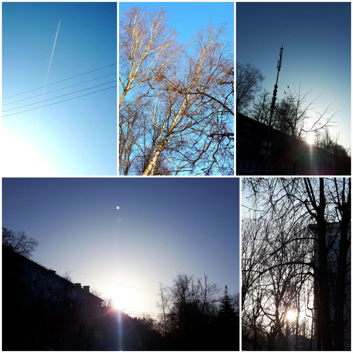 Коллаж автора статьи 11.03.2026г.