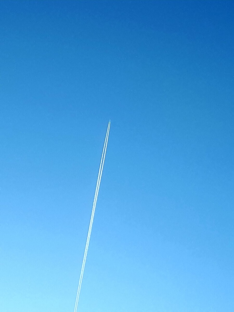 Фото автора статьи 11.03.2026г.