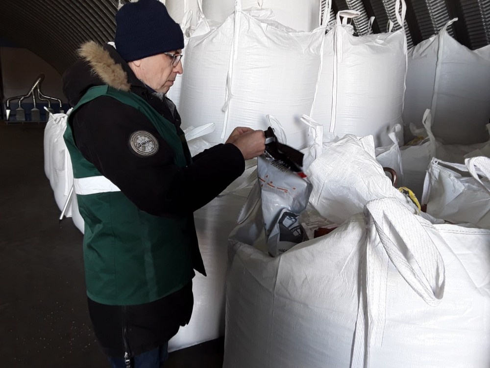    Ульяновская область отгрузила в Татарстан 120 т. элитных семян зерна