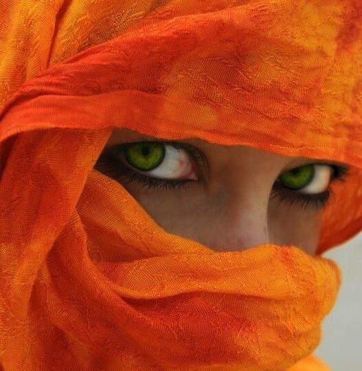 Оранжевый цвет в фотографии