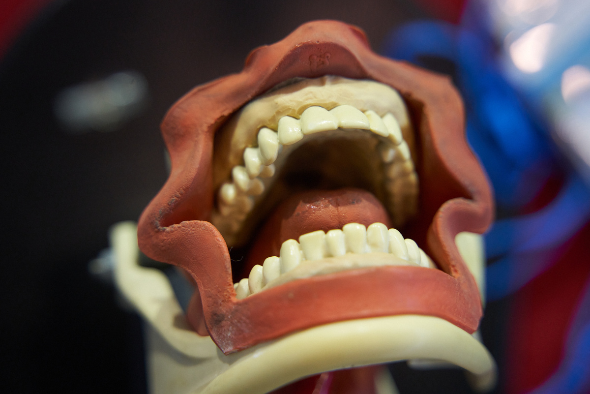    Фото: Лидия Аникина