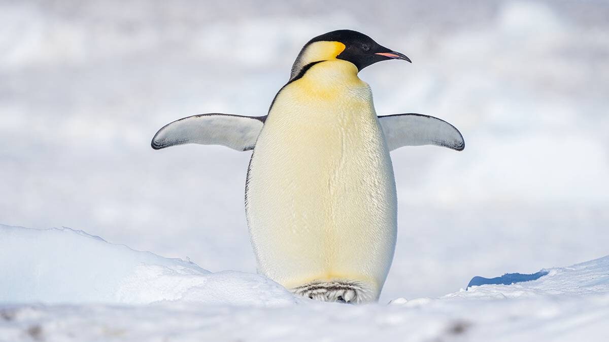    Фото: Shutterstock