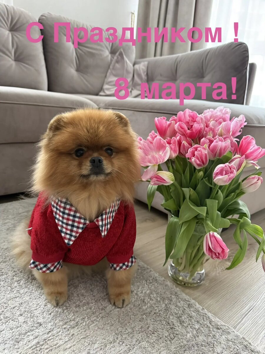 Поздравляю милых дам с самым весенним праздником!