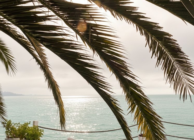 Абхазия-2026: инструкция по выживанию и наслаждению. Гид для тех, кто не любит разочарований