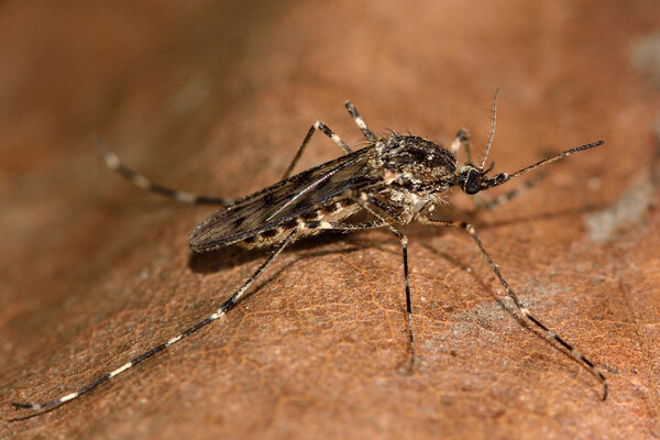 IanRedding/Shutterstock/FOTODOM   📷