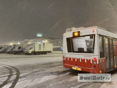 Фото: Ксения Мейтина SmolDaily  📷
