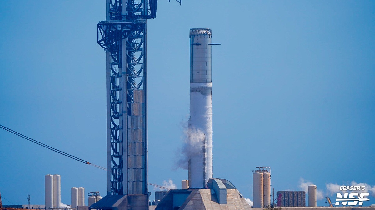 Фото Ceaser G/NSF  📷
